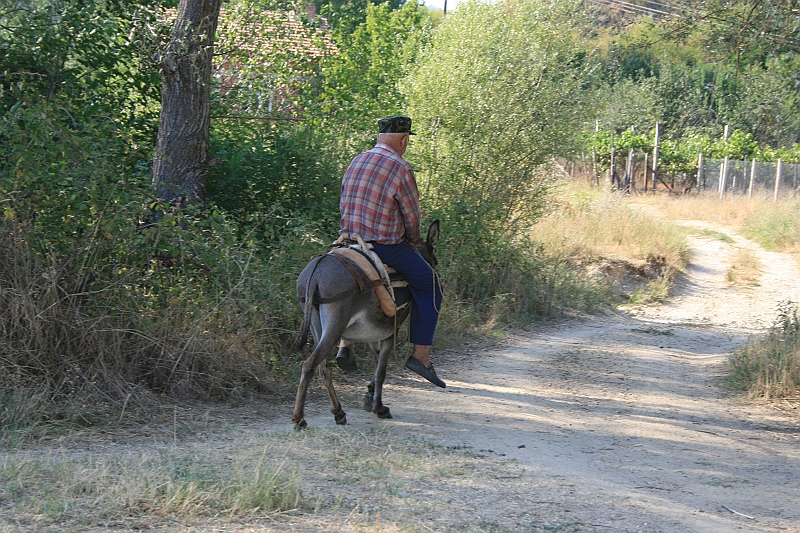 Bulgaria 2008 1021